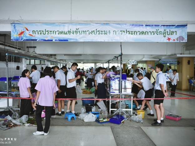 การแข่งขันจัดตู้ปลา งานเกษตรแฟร์ 2562