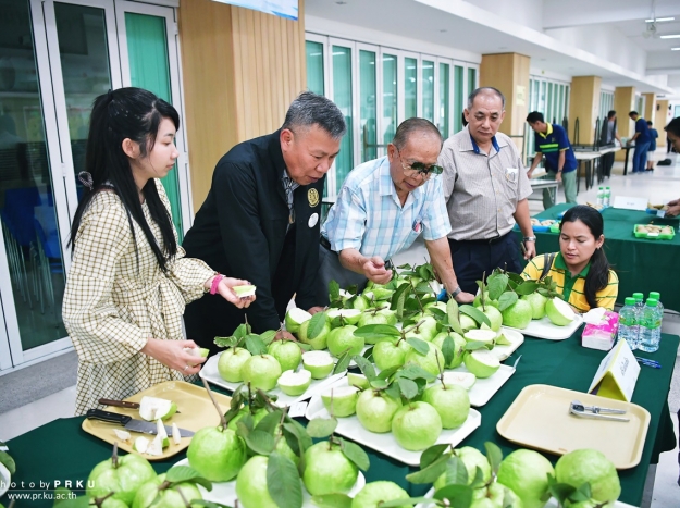 การประกวดผลไม้ งานเกษตรแฟร์ 2562
