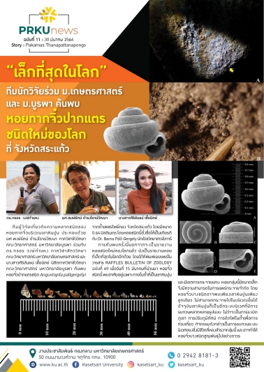 ทีมนักวิจัยร่วม ม.เกษตร และ ม.บูรพา ค้นพบหอยทากจิ๋วปากแตรชนิดใหม่ของโลก